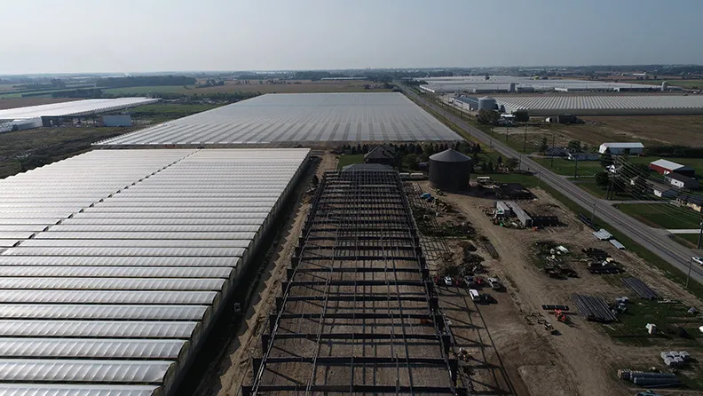 Aerial view of the Cielo Vista Farms greenhouse complex in Leamington